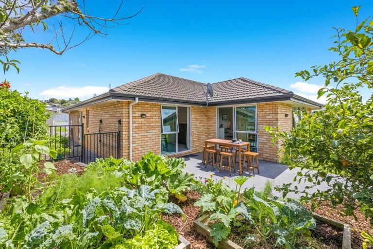 Photo of property in 73 Alnwick Street, Warkworth, 0910