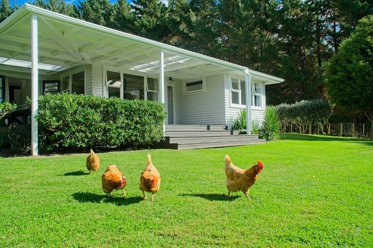 Photo of property in 1215 Wharekopae Road, Ngatapa, Gisborne, 4072