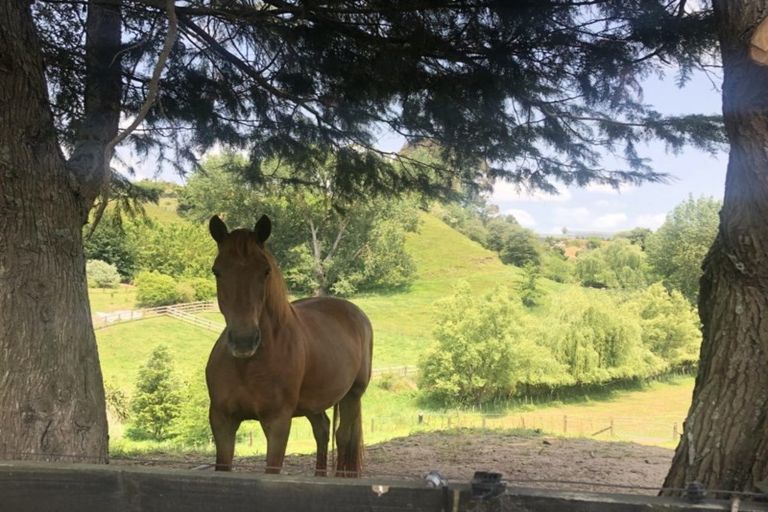 Photo of property in 57 Pukerimu Lane, Cambridge, 3495