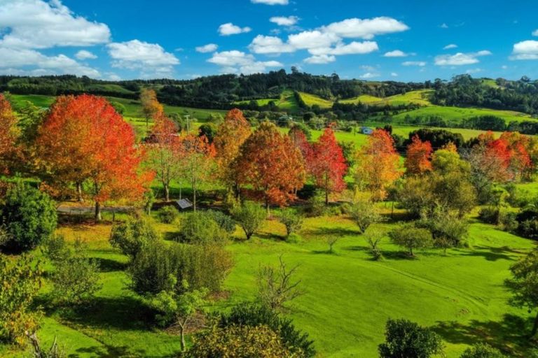 Photo of property in 428a Blackbridge Road, Dairy Flat, Albany, 0794