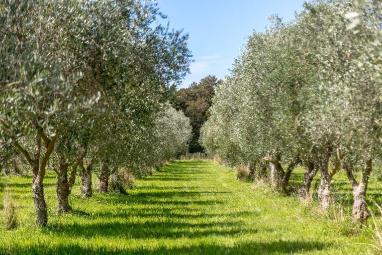 Photo of property in 581 Matarawa Road, Dalefield, Carterton, 5791