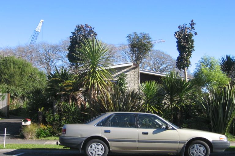 Photo of property in 55 Rutherford Street, Chedworth, Hamilton, 3210