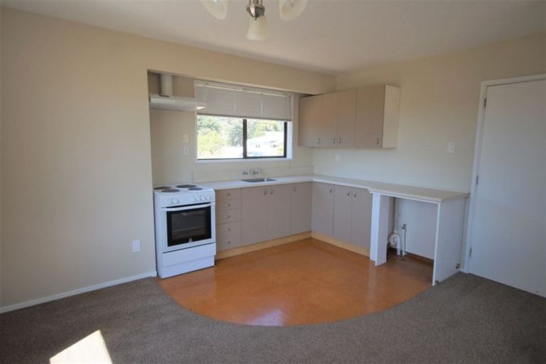 Photo of property in 39 Parnassus Street, Waiau, 7332