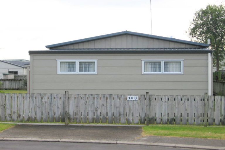 Photo of property in 103 Whitby Place, Whangamata, 3620