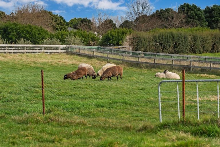 Photo of property in 56 Saddleton Road, Waiau Pa, Pukekohe, 2679