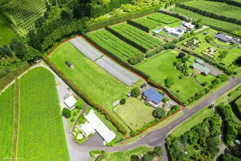 Photo of property in 54 Sinclair Road, Whakamarama, Tauranga, 3179