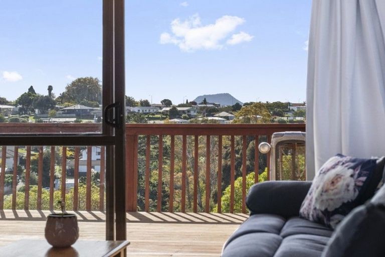 Photo of property in 47 Winchester Terrace, Bethlehem, Tauranga, 3110