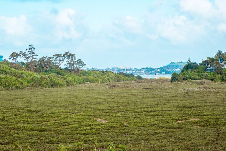 Photo of property in 33d Saint Peters Street, Northcote, Auckland, 0627