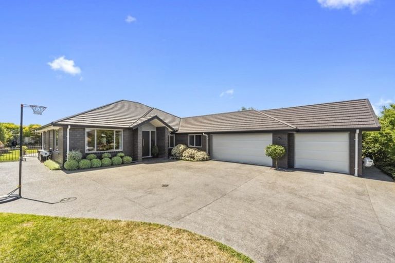 Photo of property in 4 Brad Avenue, Flagstaff, Hamilton, 3210