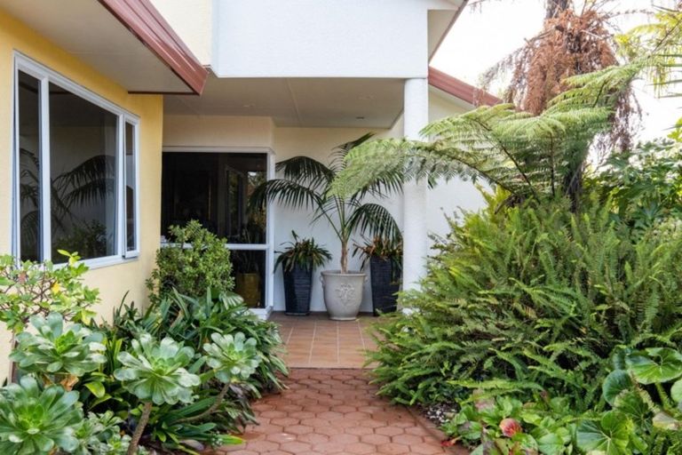 Photo of property in 50 Park Road, Greenmeadows, Napier, 4112