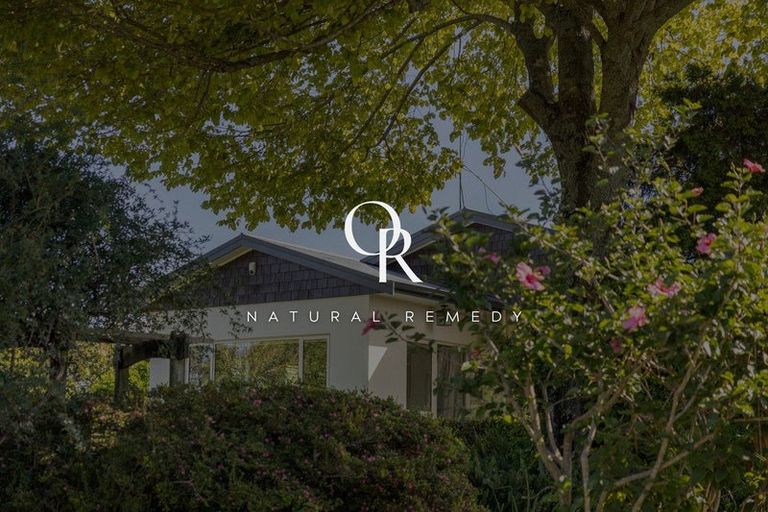 Photo of property in 117 Moffat Road, Bethlehem, Tauranga, 3110