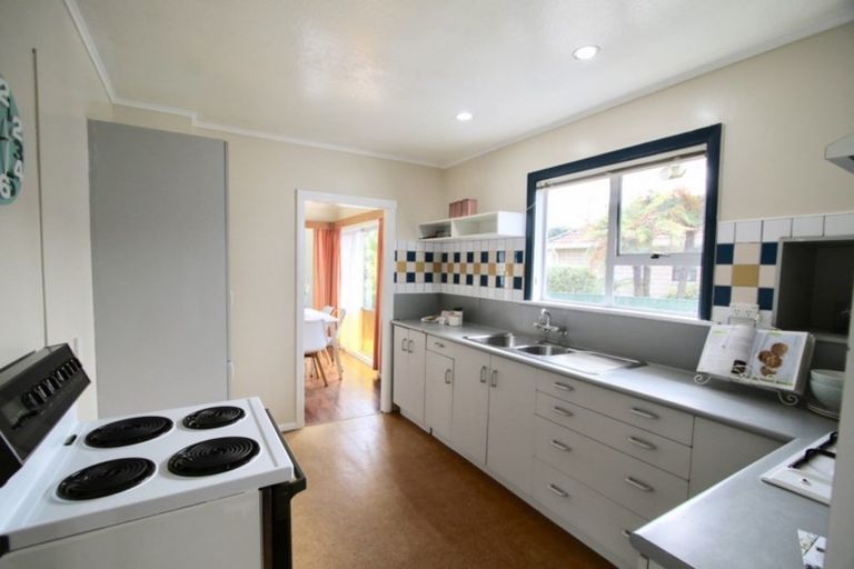 Photo of property in 156 Tiro Tiro Road, Levin, 5510