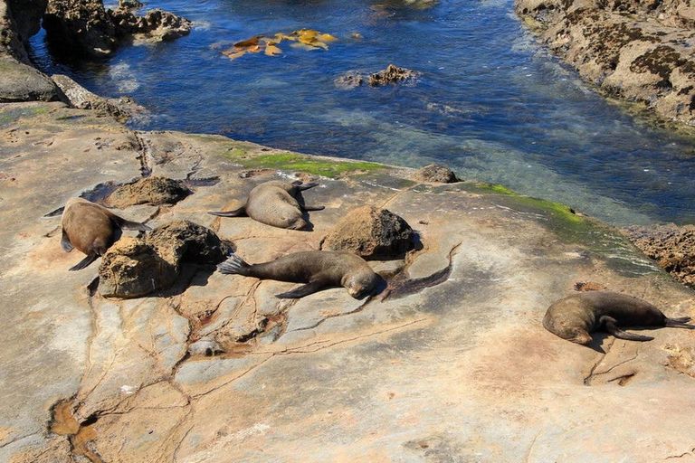 Photo of property in 3/28 Shag Point Road, Shag Point, Palmerston, 9482