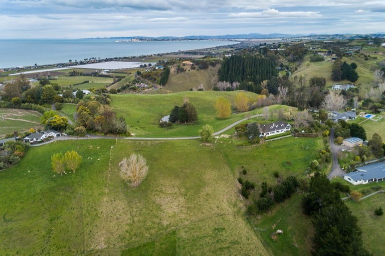 Photo of property in 48 Kaimata Road, Bay View, Napier, 4182