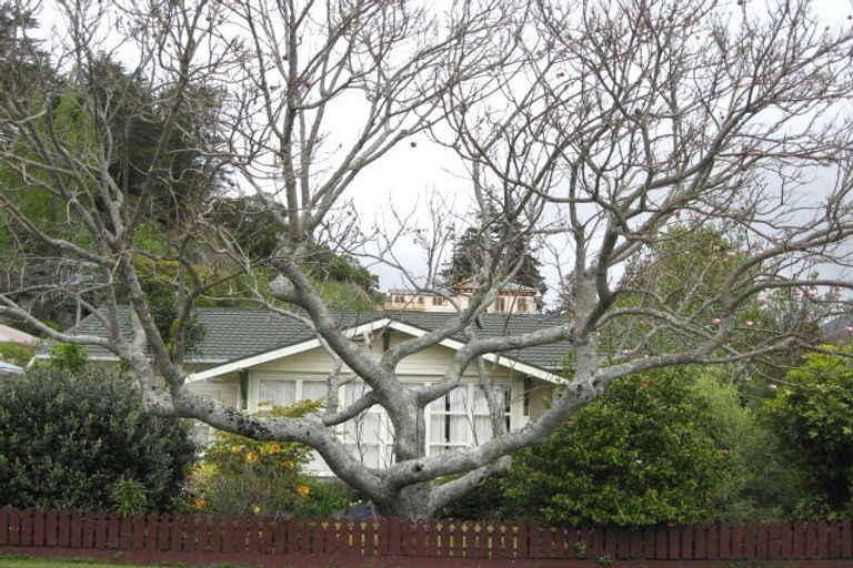 Photo of property in 110 Halifax Street East, The Wood, Nelson, 7010