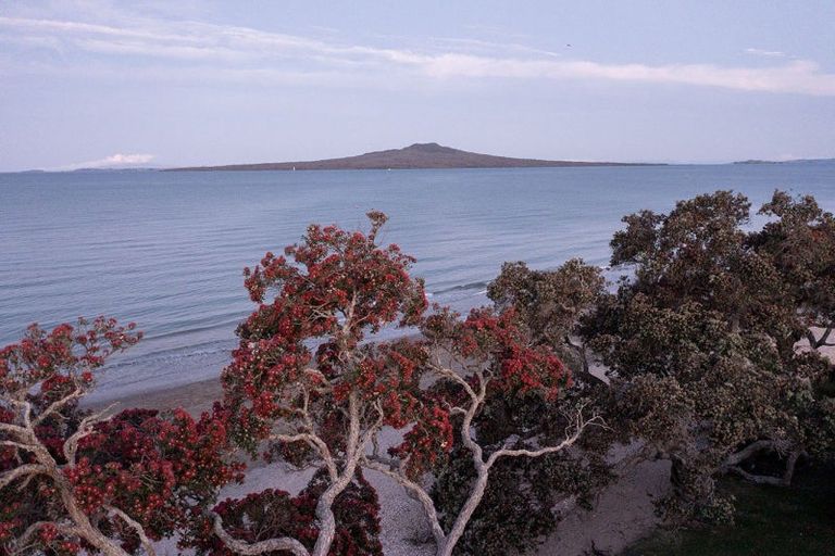 Photo of property in 25 Park Avenue, Takapuna, Auckland, 0622