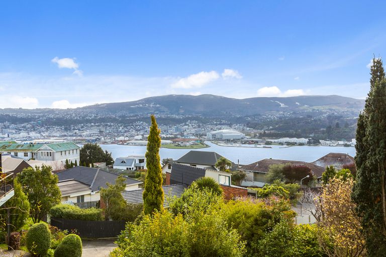 Photo of property in 219 Larnach Road, Waverley, Dunedin, 9013