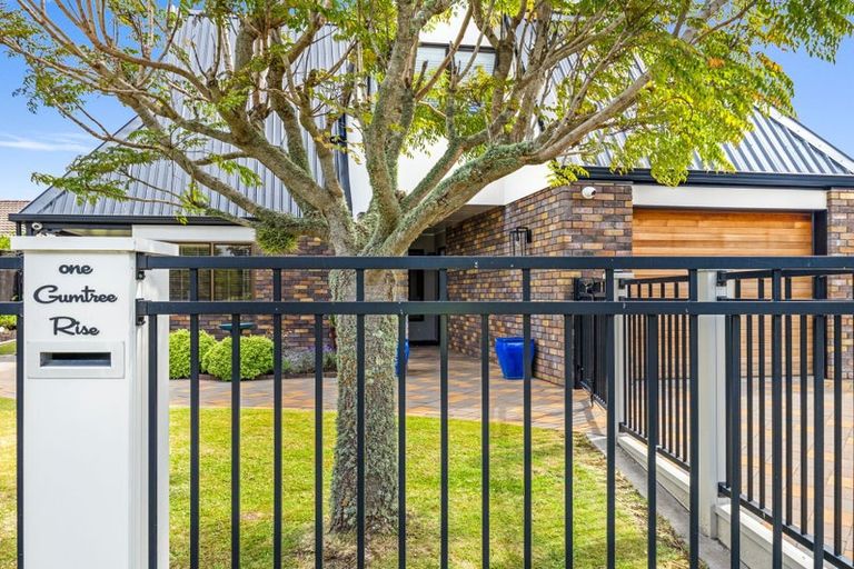 Photo of property in 1 Gumtree Rise, Otamatea, Whanganui, 4500