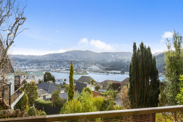 Photo of property in 219 Larnach Road, Waverley, Dunedin, 9013