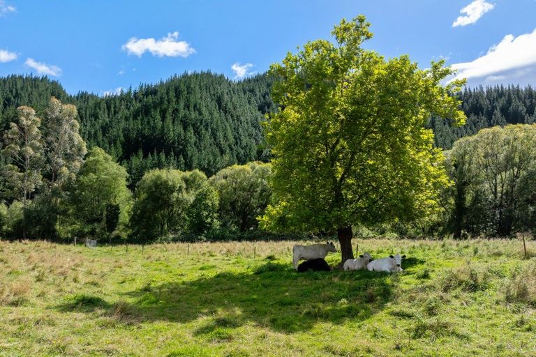 Photo of property in 546 Onamalutu Road, Onamalutu, Blenheim, 7275