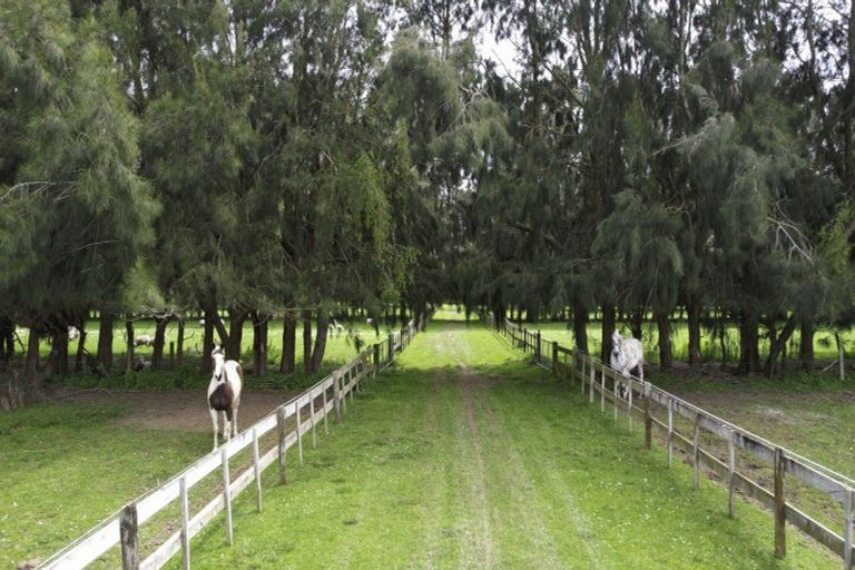 Photo of property in 222 Bruce Road, Levin, 5510