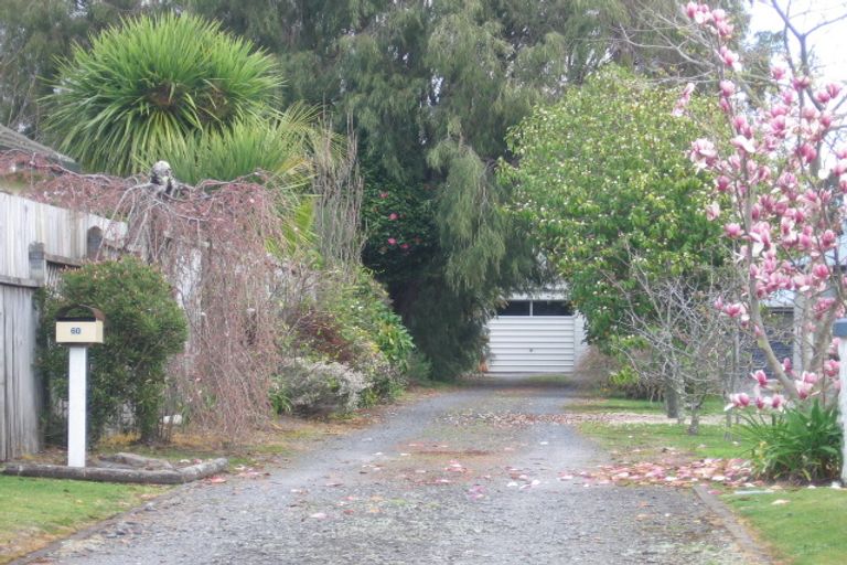 Photo of property in 60 Sixteenth Avenue, Tauranga South, Tauranga, 3112