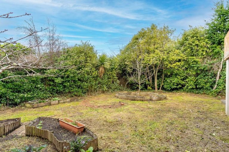 Photo of property in 45 Leven Street, Roslyn, Dunedin, 9010