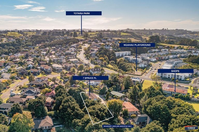 Photo of property in 7 Spruce Place, Totara Heights, Auckland, 2105