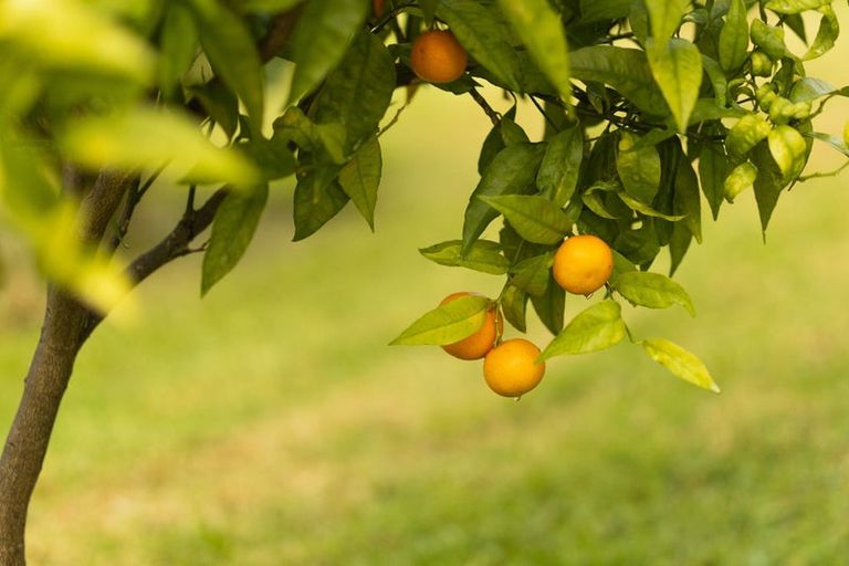 Photo of property in 49 Gorge Road, Maungaturoto, 0520