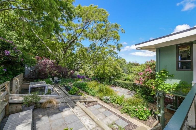 Photo of property in 174 Signal Hill Road, Opoho, Dunedin, 9010