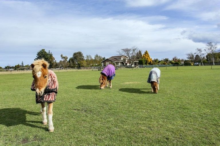 Photo of property in 9 Knight Street, Oxford, 7430