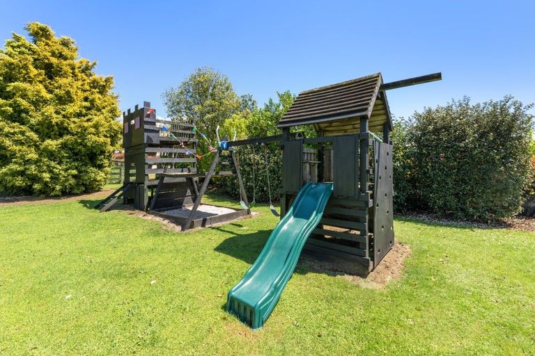 Photo of property in 233 Ross Road, Whakamarama, Tauranga, 3179
