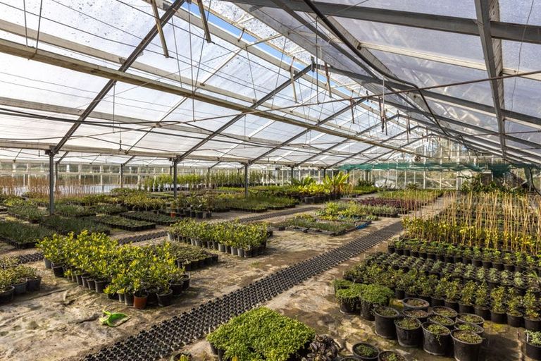 Photo of property in 146 Top Road, Dairy Flat, Albany, 0792