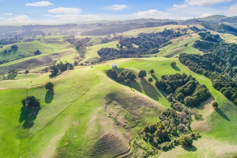 Photo of property in 87 Ruebe Road, Buckland, Pukekohe, 2677