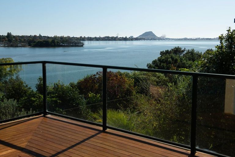 Photo of property in 48 Vine Avenue, Maungatapu, Tauranga, 3112