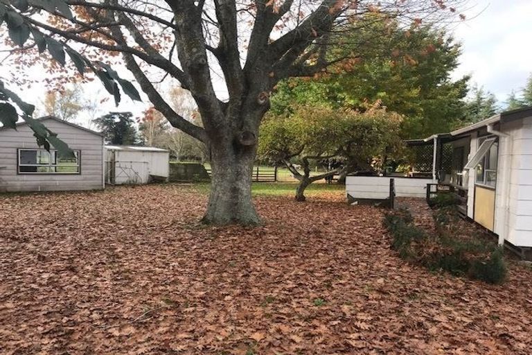 Photo of property in 275 Thornton Road, Cambridge, 3496