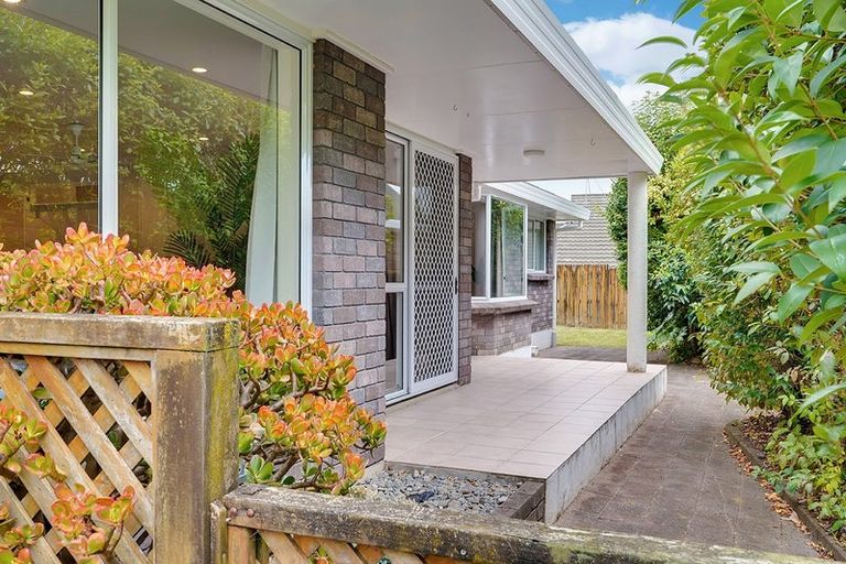 Photo of property in 262 Grandview Road, Western Heights, Hamilton, 3200