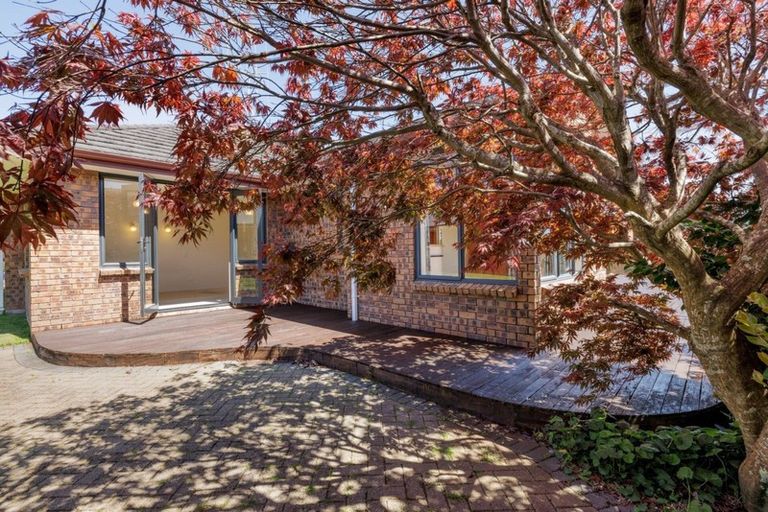 Photo of property in 41 Pyes Pa Road, Pyes Pa, Tauranga, 3112