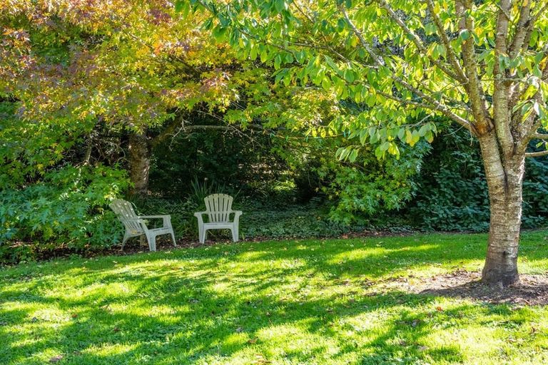 Photo of property in 57 Harvey Street, Waitati, 9085