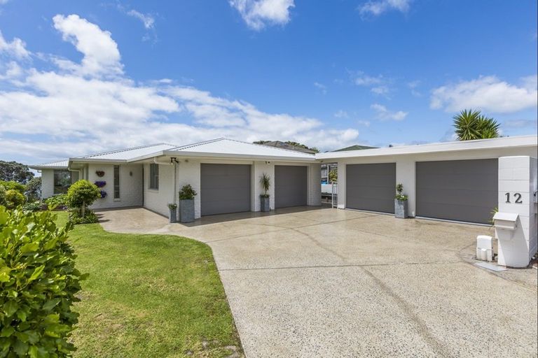 Photo of property in 12 Elgin Place, Red Beach, 0932