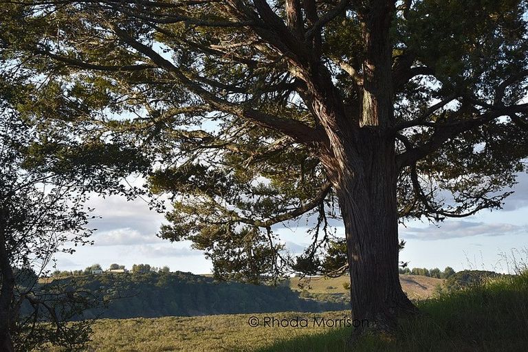 Photo of property in 21 Matahehe Lane, Tinopai, 0593