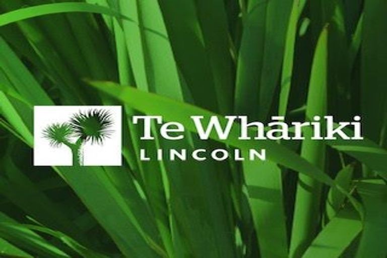 Photo of property in 82 Vernon Drive, Lincoln, 7608