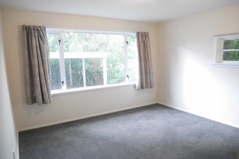 Photo of property in 79 Marshland Road, Shirley, Christchurch, 8061