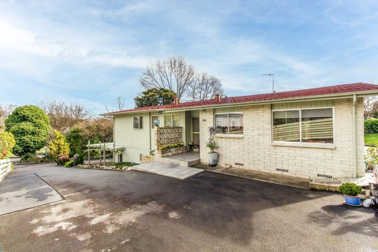 Photo of property in 18 Franklin Terrace, Havelock North, 4130