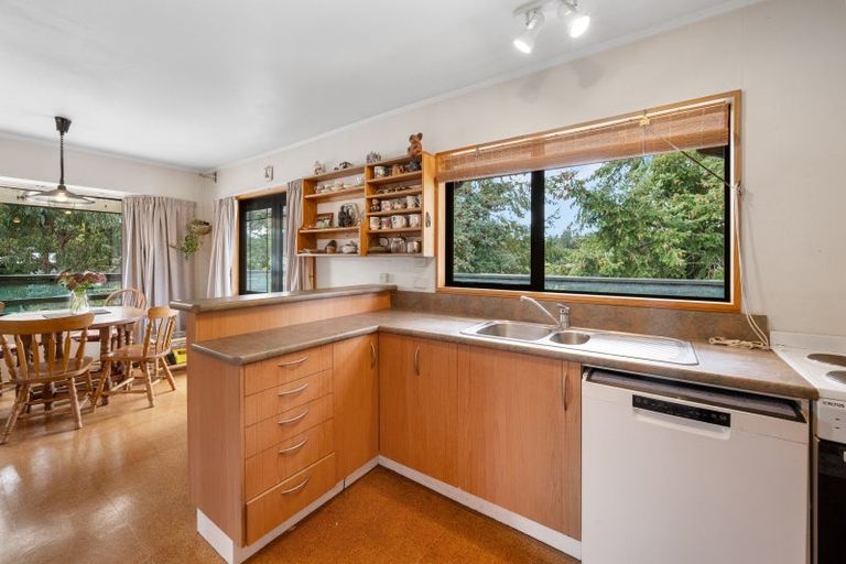 Photo of property in 21 Ballarat Avenue, Naseby, Ranfurly, 9396