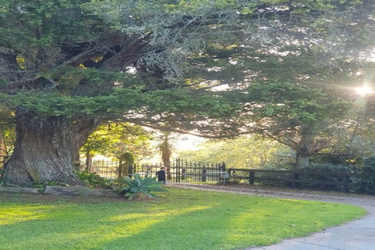 Photo of property in 165 Buckville Road, Buckland, Pukekohe, 2677