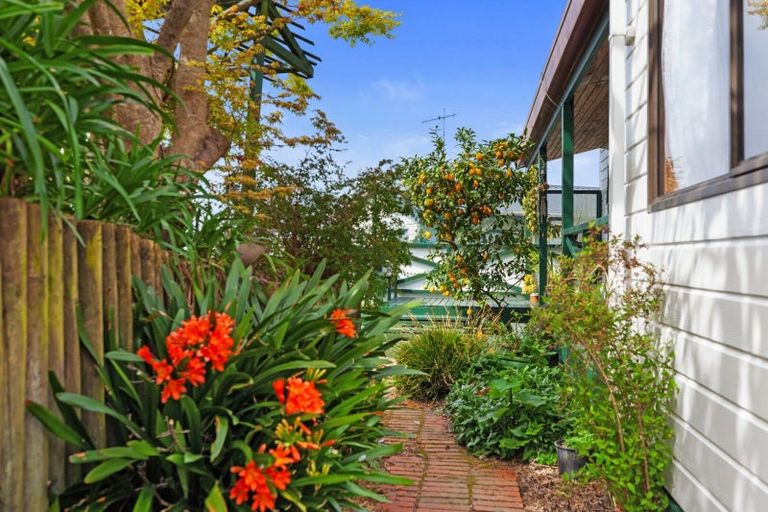 Photo of property in 204 Cambridge Road, Bethlehem, Tauranga, 3110