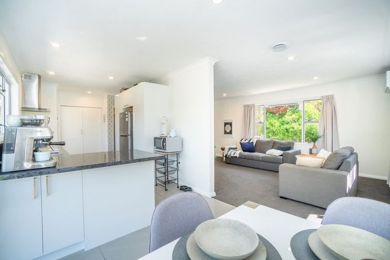 Photo of property in 9 Haggitt Street, Feilding, 4702