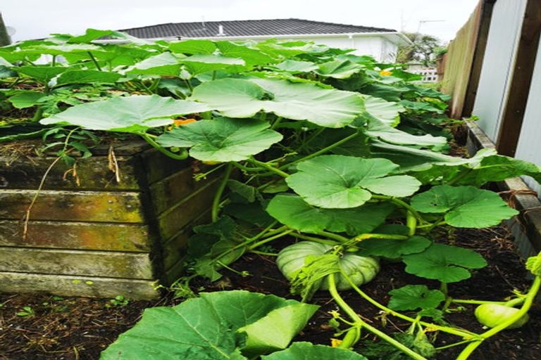 Photo of property in 4 Marybeth Place, Rosehill, Papakura, 2113