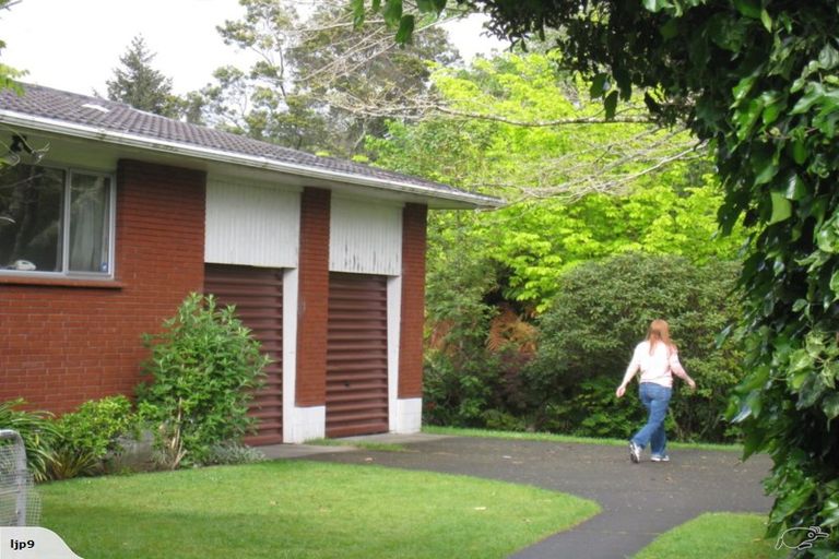 Photo of property in 40 Orion Street, Sunnybrook, Rotorua, 3015